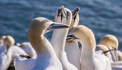 长兴最新怎么提现公积金卡里的钱方法分析(最方便真实的长兴怎么将公积金提现方法)